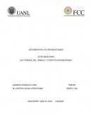 LEYES MEXICANAS (LEY FEDERAL DEL TRABAJO Y CONSTITUCIÓN MEXICANA)