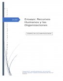 Recursos humanos y las organizaciones