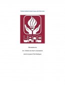 Mercadotecnia. Act. Análisis de entorno empresarial