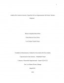 Análisis Del Contexto General y Específico De Las Organizaciones Del Sector Turístico Regional
