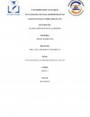 FUNCIONES DE LOS PROMOTORES DE VENTAS