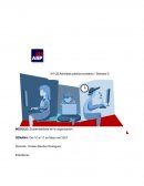 Sustentabilidad en la organizacion