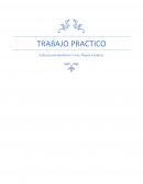 Culturas precolombinas: Incas, Mayas y Aztecas