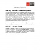 El ATP y las reacciones acopladas