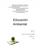 Educación ambiental. Objetivos de la educación ambiental
