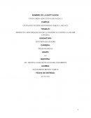 PROYECTO: SENCIBILIZACION DE LA VIOLENCIA CONTRA LA MUJER CHATINA