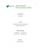 La cultura política, cívica y el enfoque político por parte de Gabriel Almond