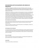 Características del funcionamiento del sistema de Regulación