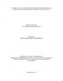 EVIDENCIA 2 DEL TALLER” DIMENSIONAMIENTO DEL PROGRAMA DE CAPACITACIÓN ESTRATEGIA DE VIVIENDA SALUDABLE (EVS)”