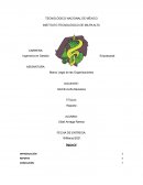 Obligación del comerciante