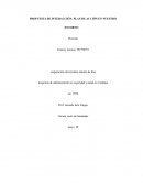 PROPUESTA DE INTERACCIÓN: PLAN DE ACCIÓN EN NUESTRO ENTORNO