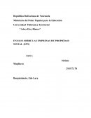ENSAYO SOBRE LAS EMPRESAS DE PROPIEDAD