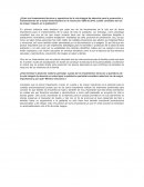 LINEAMIENTOS OPERATIVOS