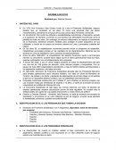 Caso financiera solidaridad