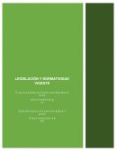 Legislacion y normatividad vigente