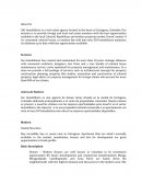 My Business GIO Inmobiliaria