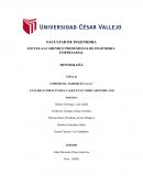 COMERCIAL AGROQUICA S.A.C ANÁLISIS E IMPACTO DEL CAQUI EN EL MERCADO PERUANO