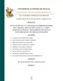 EVALUACIÓN DE LA CAPACIDAD FITORREMEDIADORA DEL GIRASOL (HELIANTHUS ANNUS L.)