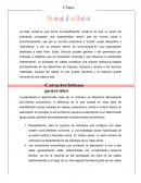 Clases sociales