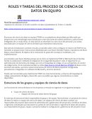 ROLES Y TAREAS DEL PROCESO DE CIENCIA DE DATOS EN EQUIPO