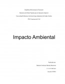 Impacto ambiental