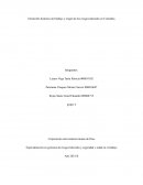 Ensayo sobre Desarrollo histórico del trabajo y origen de los riesgos laborales en Colombia