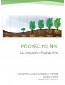 El cultivo de la papa y la importancia del agua