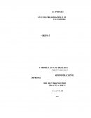 ANÁLISIS ORGANIZACIONAL DE UNA EMPRESA. LUJOS DE OCCIDENTE S.A.S