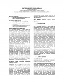 Proyecto detergente ecológico