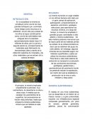 Mineria, trabajo minero de apuntes de panel caving