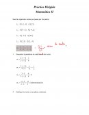 Práctica Dirigida Matemática II