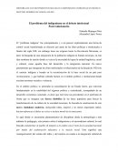 El problema del indigenismo en el debate intelectual
