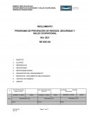 PROGRAMA DE PREVENCIÓN DE RIESGOS, SEGURIDAD Y SALUD OCUPACIONAL