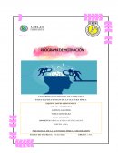 PREPARACIÓN DE UN PROGRAMA DE MOTIVACIÓN