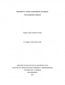 Actividad N° 3: Lectura y acercamiento a la solución