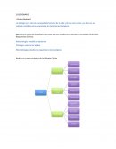 Cuestionario de biologia