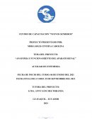 Anatomia y funcionamiento del aparato renal