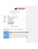 Plantilla: Evidencia Integral Productividad para los negocios Semestral