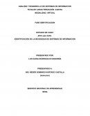 IDENTIFICACIÓN DE LA NECESIDAD DE SISTEMAS DE INFORMACIÓN