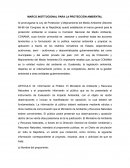 MARCO INSTITUCIONAL PARA LA PROTECCIÓN AMBIENTAL