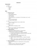 Sistema renal