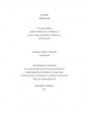 PRÁCTICA PEDAGÓGICA