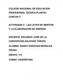 LAS LEYES DE NEWTON Y LA ELABORACIÒN DE ENERGIA