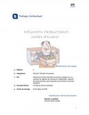Derecho Tributario Empresas