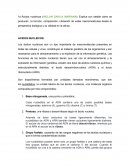 Ácidos nucleicos. ADN y ARN