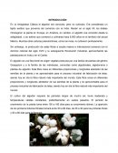 Clasificación del algodón