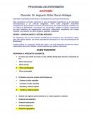 Programa de enfermeria