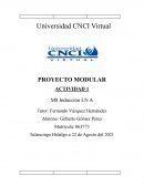 PROYECTO MODULAR ACTIVIDAD 1