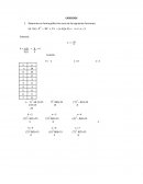 EJERCICIOS funciones