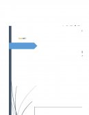 Diseño de planes estratégicos Gasco S.A